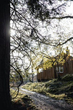 Timber Cottage